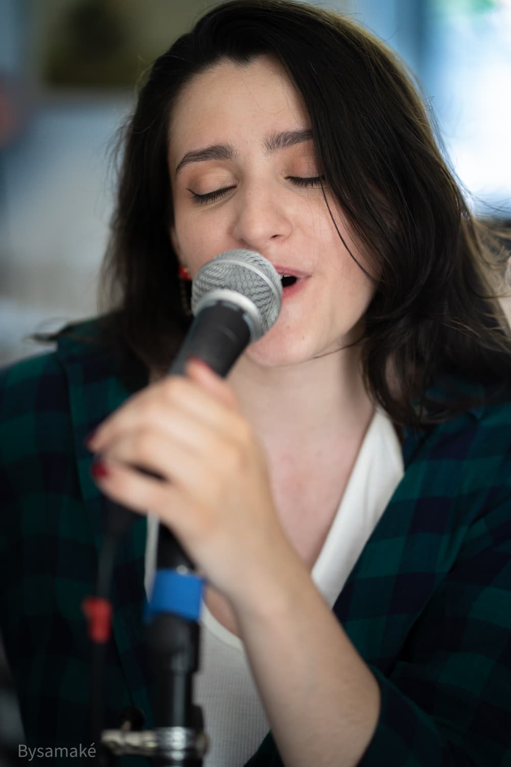 Prestation scénique variété française et pop-rock